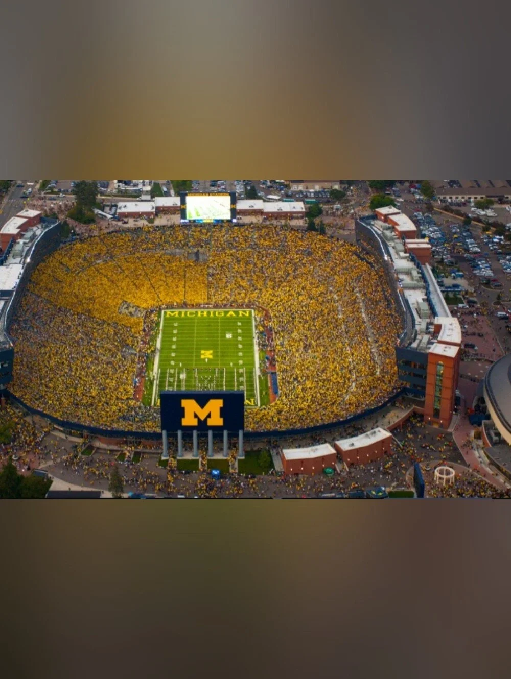 N/A professors michigan